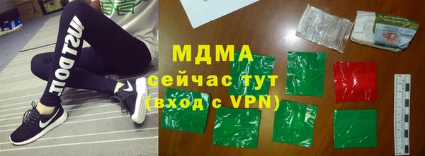 индика Алексин