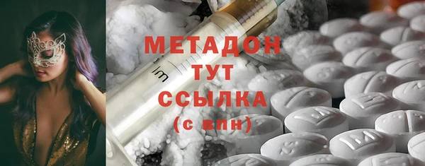 индика Алексин