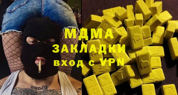 индика Алексин