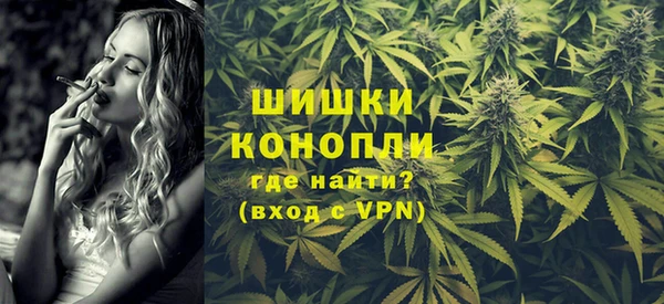 индика Алексин