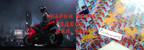 индика Алексин