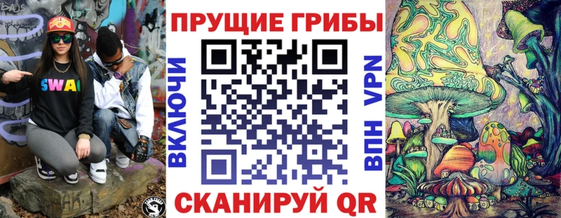 omg вход  Искитим  Псилоцибиновые грибы мухоморы 